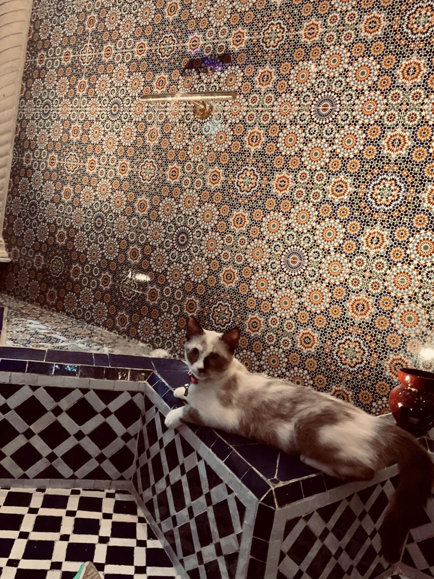 Riad Lalla Merieme マラケシュ エクステリア 写真